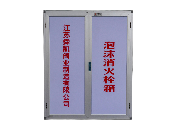 平开2玻璃门泡沫消火栓箱(1)